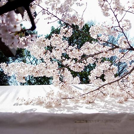 Tora Hotel Tokyo-Kitaueno 寅ホテル北上野 Dış mekan fotoğraf