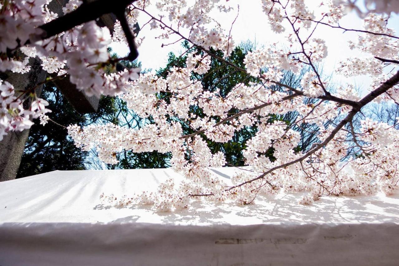 Tora Hotel Tokyo-Kitaueno 寅ホテル北上野 Dış mekan fotoğraf