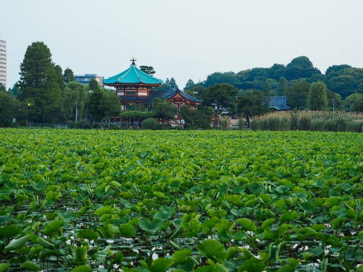 Tora Hotel Tokyo-Kitaueno 寅ホテル北上野 Dış mekan fotoğraf
